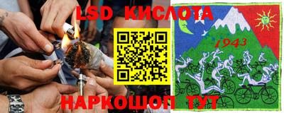 сатива Будённовск