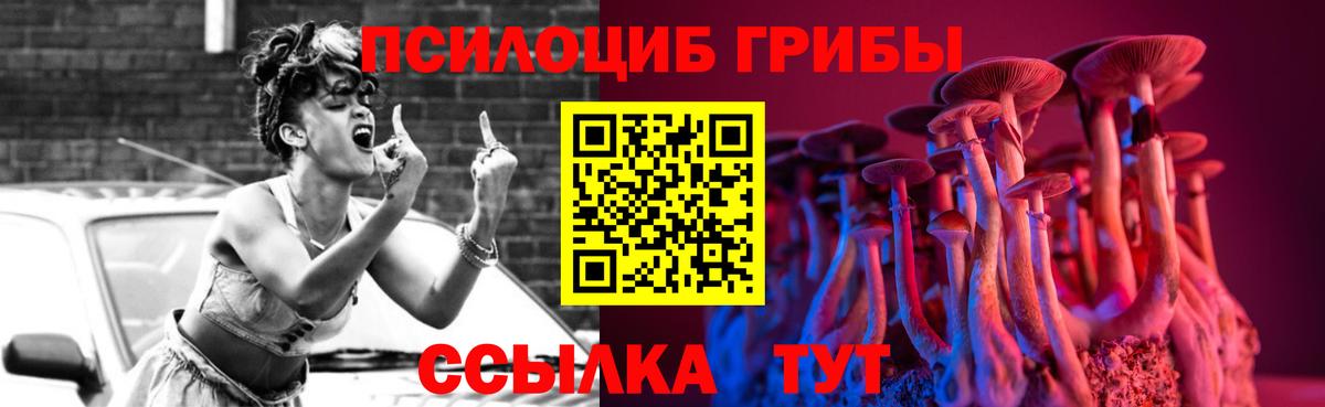 Североморск  Галлюциногенные грибы Psilocybe  Вход с VPN 